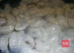 荠菜虾仁饺的做法图解7