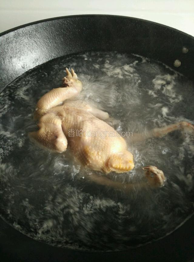 锅中添水烧开，将洗净的鸽子放进开水煮一下，去血水！这时候加入适量料酒去腥味！