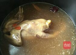 鸽子汤的做法图解5