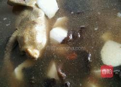 鸽子汤的做法图解7