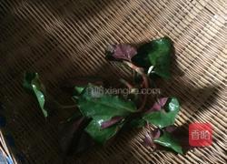 凉拌折耳根（又名鱼腥草）的做法图解1
