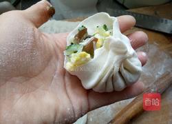水晶小蒸包的做法图解23