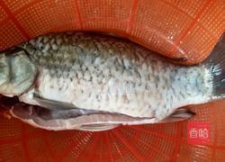 香辣红烧鲫鱼的做法图解1