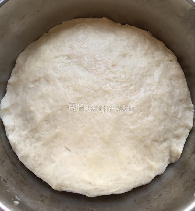 将油皮材料混合揉成光滑面团，醒发半小时；