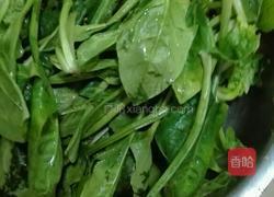 虾仁菠菜粥的做法图解1