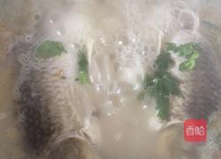 野生鲫鱼汤的做法图解4