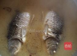 野生鲫鱼汤的做法图解3