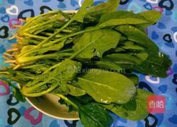 凉拌菠菜粉丝的做法图解1
