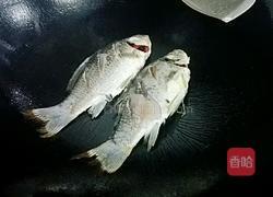 番茄鲫鱼汤的做法图解5