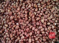 自制有机红豆沙的做法图解2