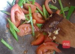 家常番茄炒蛋的做法图解5