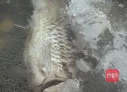 砂锅鲫鱼汤的做法图解8