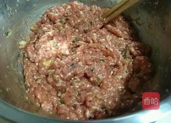 糯米猪肉水晶丸的做法图解9