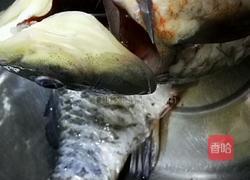红烧鲫鱼的做法图解1
