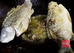 红烧鲫鱼的做法图解6