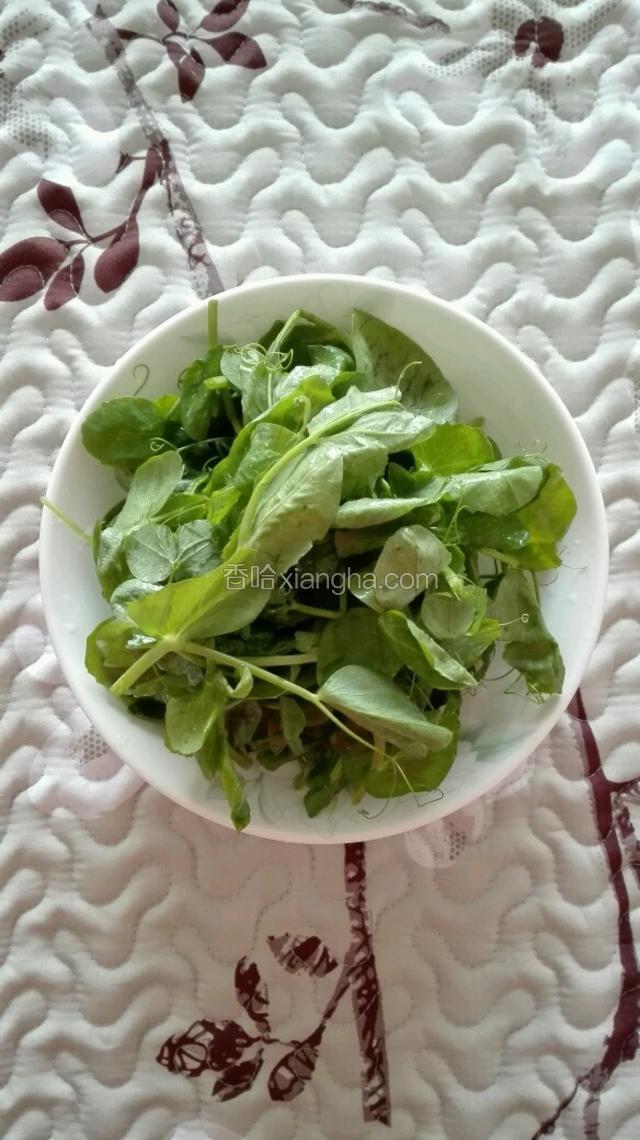 将豌豆尖反复洗净，放于盘中，以备待用。