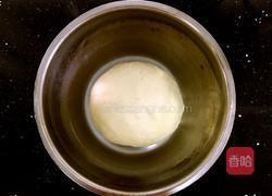 圆白菜猪肉水饺的做法图解2