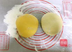 圆白菜猪肉水饺的做法图解14