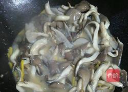 平菇肉片汤的做法图解6