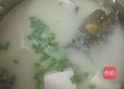 鲫鱼豆腐汤的做法图解4
