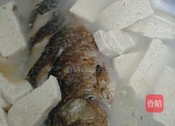 鲫鱼冻豆腐汤的做法图解9
