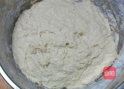 鲜肉小笼包的做法图解3