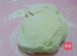 鲜肉小笼包的做法图解7