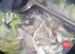 平菇白菜鸡血汤的做法图解9