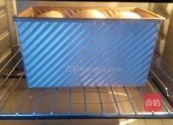 玉米油山峰土司的做法图解9