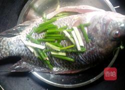 清蒸罗非鱼的做法图解5