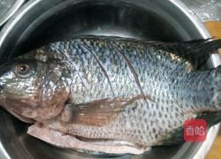 鲫鱼萝卜汤的做法图解1