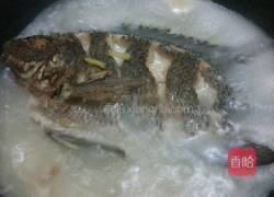 鲫鱼萝卜汤的做法图解5