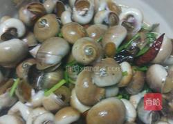 辣炒小海螺的做法图解2