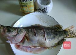 清蒸桂鱼的做法图解2