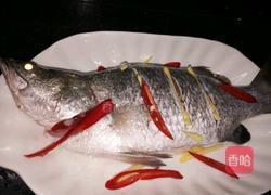 清蒸盲曹鱼的做法图解2