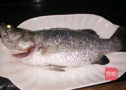 清蒸盲曹鱼的做法图解1