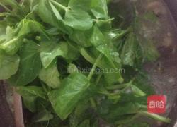 上汤豆苗的做法图解1