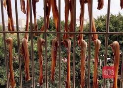 广式腊肉的做法图解10