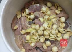 小肠腱子肉莲子汤的做法图解6