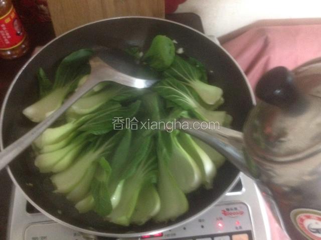 撒上热水一碗。