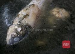 野葛菜鲫鱼汤的做法图解3