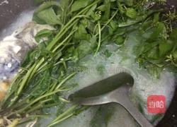 野葛菜鲫鱼汤的做法图解4