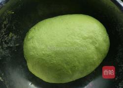 白菜水饺的做法图解3