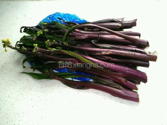 备红菜苔