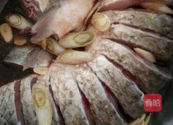 孔雀开屏的做法图解3