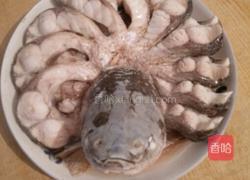 孔雀开屏的做法图解4