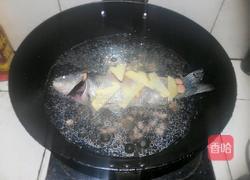 木瓜花生鲫鱼汤的做法图解5