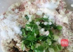 豆腐肉饼的做法图解3