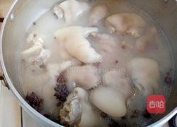 水晶猪蹄的做法图解14