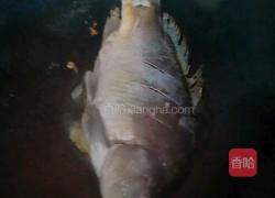 红烧鲤鱼的做法图解3